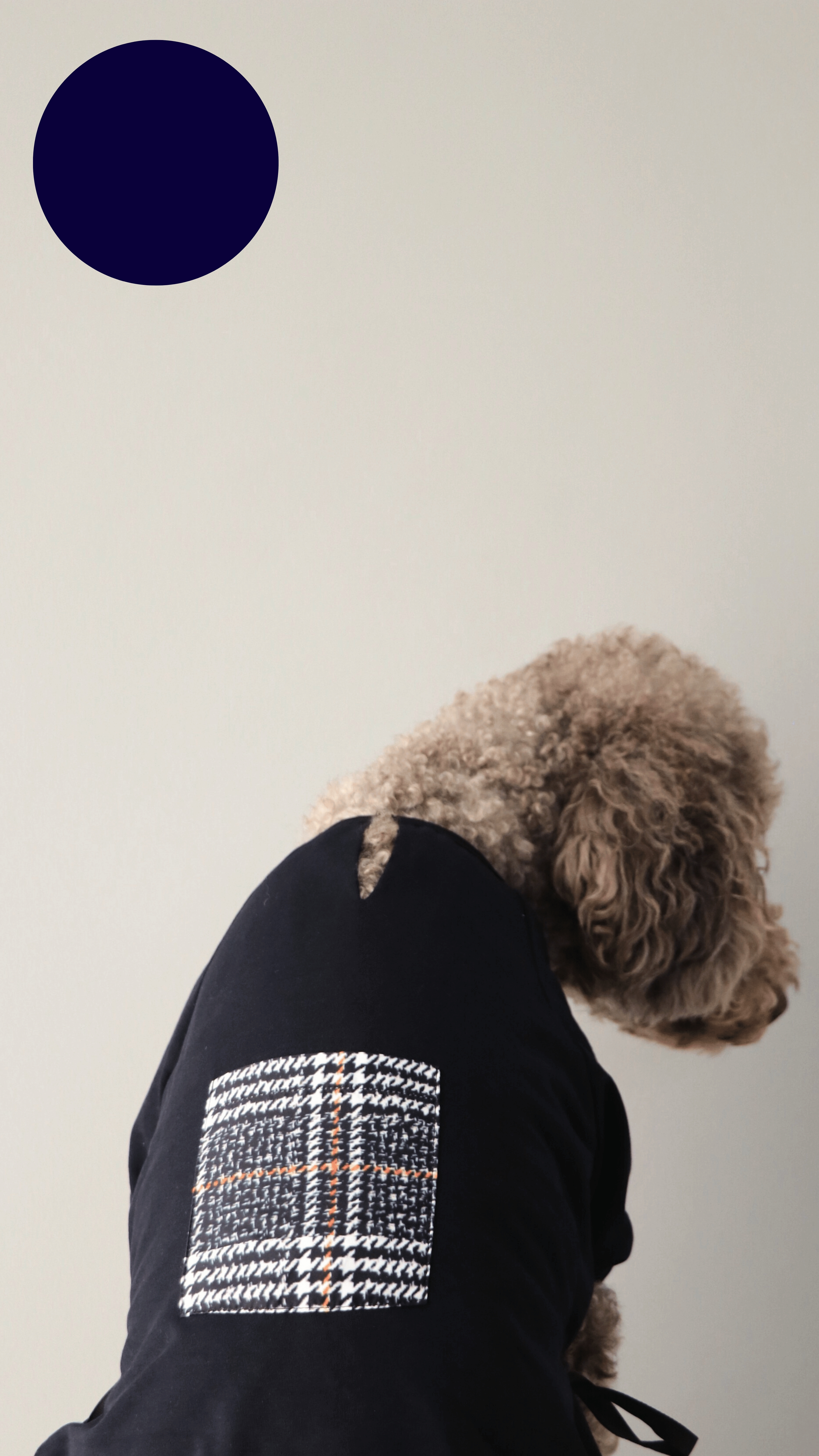 NAVYBLUEPLAID T-SHIRT